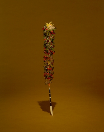 One hand kahili made of parrot feathers, Hawaiʻi
