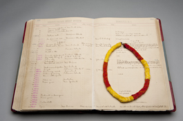 Bishop Museum's Catalog and Accession Book