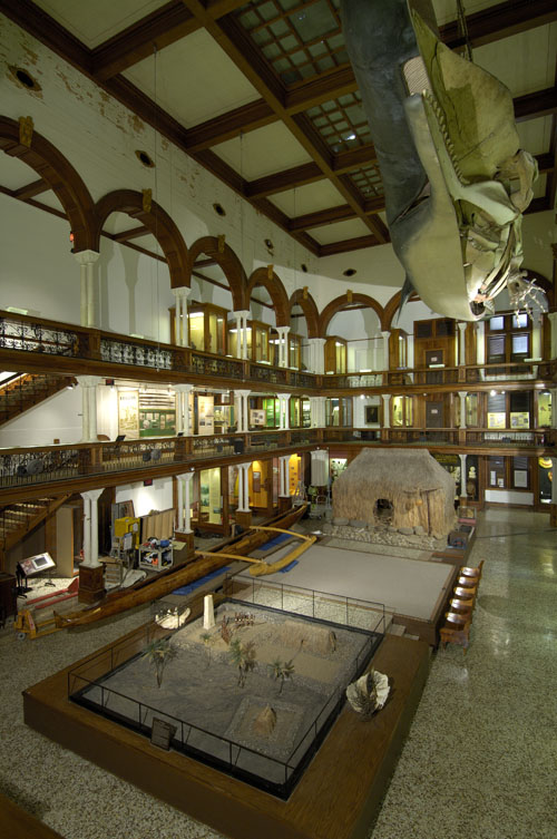 Interior view of Hawaiian Hall, Bishop Museum; Honolulu, Hawai‘i. Photo by Charles Myers, 2006. Call Number: Q 201111 Image from Bishop Museum Archives, Honolulu, Hawaii. Images are not to be re-used without permission.