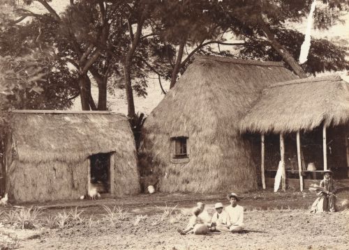 Hale pili (grass house). Call Number: E.C. Hawaiian. Domestic Life. Homes. Image from Bishop Museum Archives, Honolulu, Hawaii. Images are not to be re-used without permission.