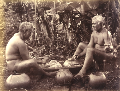 Hawaiian men pounding kalo. Call Number: E.C. Hawaiian. Domestic Life. Foods. Poi, folder 2 Image from Bishop Museum Archives, Honolulu, Hawaii. Images are not to be re-used without permission.
