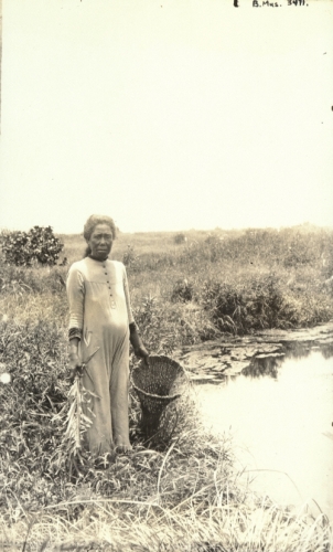 Photograph by Charles Furneaux, ca. 1890. Collection: General Photograph Collection Call Number: E.C. Hawaiian. Fishing. Location: Bishop Museum Archives Image from Bishop Museum Archives, Honolulu, Hawaii. Images are not to be re-used without permission.