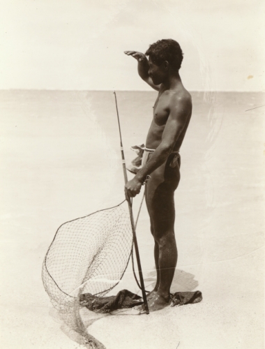 Photograph by Ray Jerome Baker, 1912. Collection: General Photograph Collection Call Number: E.C. Hawaiian. Fishing. Dip Net. Artifact Number: SP 32040 Location: Bishop Museum Archives Image from Bishop Museum Archives, Honolulu, Hawaii. Images are not to be re-used without permission.