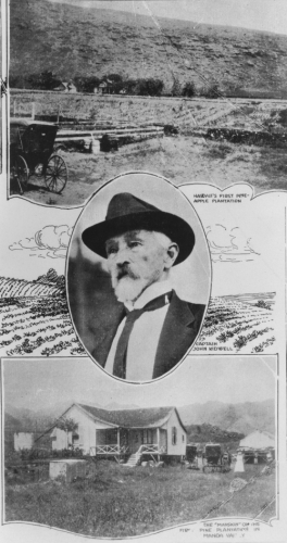 Montage of Hawai‘i's first pineapple plantation, Captain John Kidwell, and the Mansion of the first pine plantation in Mānoa Valley, ca. 1885. Call Number: Agriculture. Pineapples. Image from Bishop Museum Archives, Honolulu, Hawaii. Images are not to be re-used without permission.