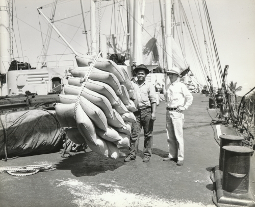 Bagged sugar being loaded onto a vessel for shipping; Hawai‘i. ca. 1935. Collection: General Photograph Collection Call Number: Agriculture. Sugar. Shipping. Location: Bishop Museum Archives Image from Bishop Museum Archives, Honolulu, Hawaii. Images are not to be re-used without permission.