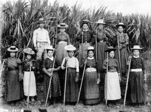 Japanese man and women sugar workers in canefield, Hawai‘i,ca. 1910. Call Number: Agriculture. Sugar. Workers. Japanese Women. Image from Bishop Museum Archives, Honolulu, Hawaii. Images are not to be re-used without permission.