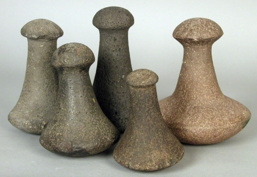 Hāloa denies that.An open poi bowl meant that no business or ill will was to be discussed lest Hāloa, the taro plant, be offended.*As the hiapo (first-born child) of the deities Wākea and Ho‘ohōkūkalani, Hāloa-naka, the kalo plant, holds important kuleana (responsibility/privilege) in the relationship between Kānaka Maoli and the land that surrounds them. The second born to these gods, named Hāloa in honor of his elder brother, is ancestor to all Hawaiian people. In Hawaiian knowledge, it is the duty of this younger sibling to honor and serve the elder and in turn the elder sibling will provide for them. This inter-dependant relationship between man and the land serves to connect the fate of both. Kalo (Colocasia esculenta), a representation of the land, was consumed by Kānaka Maoli as the primary food in traditional society. The partaking of foods, as kinolau (myriad bodies) of the gods, was one way of getting nearer to the gods. The planting, harvesting and consumption of kalo were all treated with great respect, shown through the many protocol that surrounded these practices. Kalo could be grown in either lo‘i (wetland patches), or in the case of areas with much less rain, mala (dryland gardens). Wetland taro gardens were an integral part of an inter-dependent system that often stretched from mountain to sea. Entire communities worked together to keep kahawai (streams) and ‘auwai (ditches) clean and running so that all farmers within the system could benefit from the clean, cool waters of the main streams. A land that was full with taro patches was considered ‘āina momona (fattened land). Kalo was baked or steamed and then often pounded into ‘ai pa‘a (firm food) or poi. Poi was eaten with the fingers and was often described as one-finger or two-finger poi depending on the thickness. Cultural understandings displayed in the protocol surrounding the eating of poi are mentioned by Mary Kawena Pukui in Native Planters,“My own people, among whom I grew up, never used three fingers…there was an etiquette involved: I was taught as a small child never to separate the fingers…never to insert the fingers above the first joint.”** These things were all considered piggish, greedy. The kalo was pounded into pa‘i ‘ai (pounded food) and poi on papa ku‘i ‘ai (kalo pounding boards) with pōhaku ku‘i ‘ai (food pounding stones). These pōhaku were most often carved from basalt stones and formed with a rounded base and knobbed head. One derivation often found on the island of Kaua’i is a stirrup, handle shape. Bishop Museum's ethnology collection contains hundreds of pōhaku ku‘i ‘ai in a number of styles, sizes and materials. * Pukui, Mary Kawena. ‘Olelo No‘eau: Hawaiian Proverbs & Poetical Sayings. Bernice P. Bishop Museum special publication 71. no.1700, p.182. Honolulu. Bishop Museum Press, 1983. **Handy, E.S. Craighill and Elizabeth Green Handy with the collaboration of Mary Kawena Pukui. Native Planters in Old Hawaii: their Life, Lore, and Environment. Bernice P. Bishop Museum bulletin 233. Honolulu: Bishop Museum Press, 1991. pp 115. Location: Bishop Museum Image from Bishop Museum Archives, Honolulu, Hawaii. Images are not to be re-used without permission.