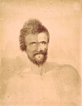 A Man of the Sandwich Islands, Half Face Tattooed