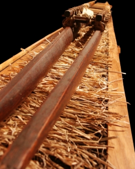 Lonoikamakahiki