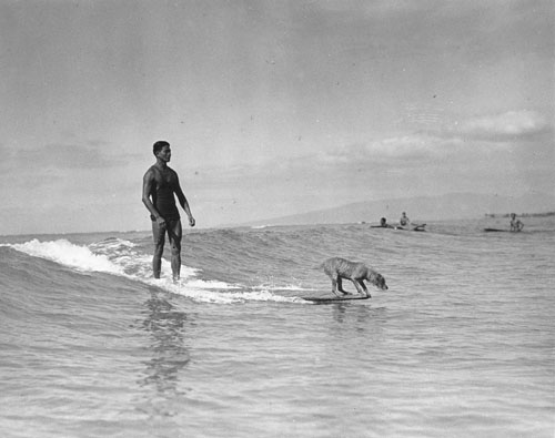 Night Hawk the surfing dog and his owner, Philip Auna; Waikīkī, Hawai‘i. ca. 1930 Photograph by Ray Jerome Baker Call Number: Recreation. Sports. Surfing, folder 2. [SP 31157] Image from Bishop Museum Archives, Honolulu, Hawaii. Images are not to be re-used without permission.