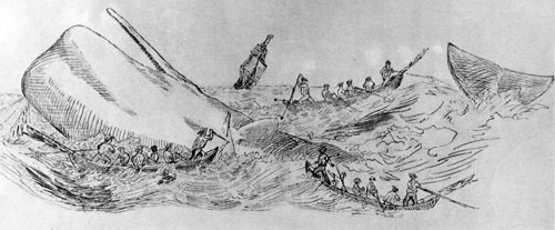 Sketch of Whaling. n.d. Collection: Hawaii Maritime Center Collection Call Number: HMC. Fishing. Whaling. [SP 202132] Accession Number: HMC 1990.7 Image from Bishop Museum Archives, Honolulu, Hawaii. Images are not to be re-used without permission.