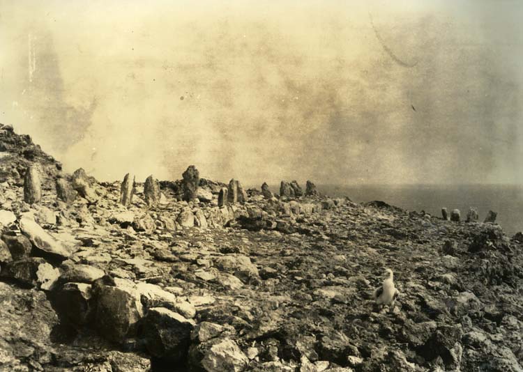 Platform on the West side of Bowl Hill; Mokumanamana (Necker Island). Collection: General Photograph Collection Call Number: Book 41 page 120 Artifact Number: SP 11805 Location: Bishop Museum Archives Image from Bishop Museum Archives, Honolulu, Hawaii. Images are not to be re-used without permission.