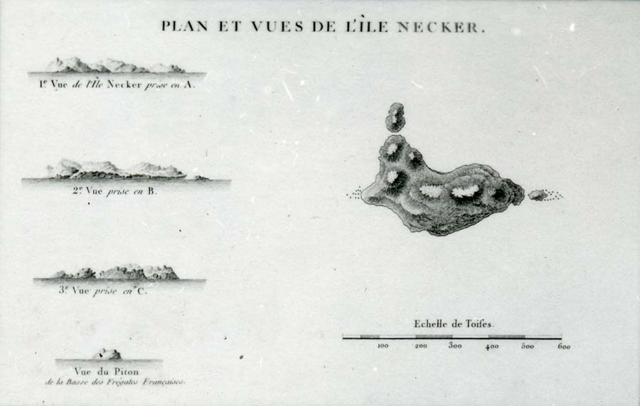 Inset of Carte Plate de L'Isle Necker. Published in Atlas du Voyage de la Perouse. Call Number: Art. Maps and Charts. Artifact Number: CP 127137 Image from Bishop Museum Archives, Honolulu, Hawaii. Images are not to be re-used without permission.