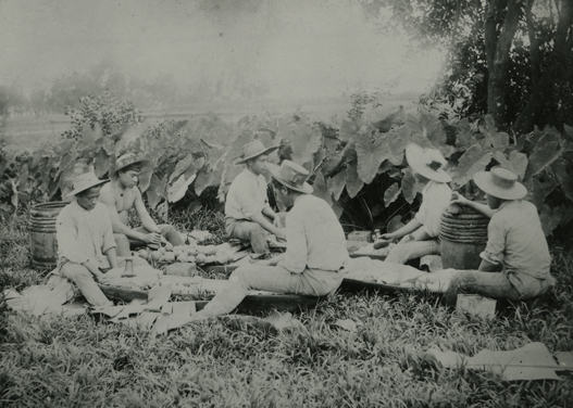 Hawaiian boys pounding kalo, photo by P.L. Lord, ca. 1889. Call Number: E.C. Hawaiian. Domestic Life. Foods. Poi, folder 1 Artifact Number: CP 73671 Image from Bishop Museum Archives, Honolulu, Hawaii. Images are not to be re-used without permission.