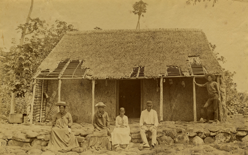 Hale pili in Puna, Hawai‘i. Photo by William T. Brigham, 1889. Call Number: E.C. Hawaiian. Domestic Life. Homes. folder 1. Artifact Number: SP 5861 Image from Bishop Museum Archives, Honolulu, Hawaii. Images are not to be re-used without permission.