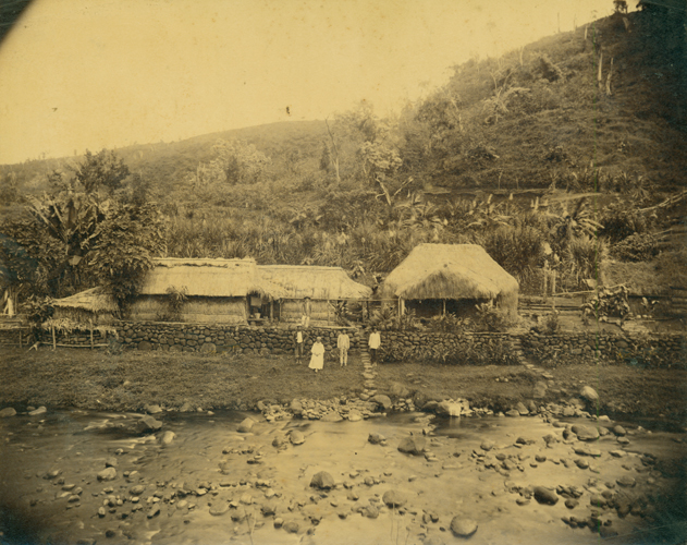 Hale pili, mauka of Kalihiwai, ca. 1890. Call Number: E.C. Hawaiian. Domestic Life. Homes. folder 2. Artifact Number: SP 96542 Accession Number: 1957.60 Image from Bishop Museum Archives, Honolulu, Hawaii. Images are not to be re-used without permission.