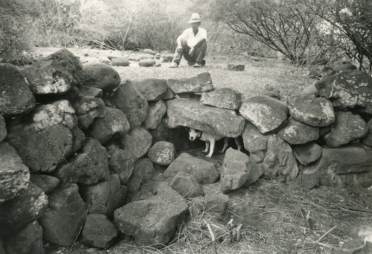 Cache in house platform at Kēōkea, Hawai‘i, photo by Stokes, ca. 1920. Collection: General Photograph Collection Call Number: E.C. Hawaiian. Domestic Life. Homes. folder 1. Artifact Number: SP 2045 Location: Bishop Museum Archives Image from Bishop Museum Archives, Honolulu, Hawaii. Images are not to be re-used without permission.