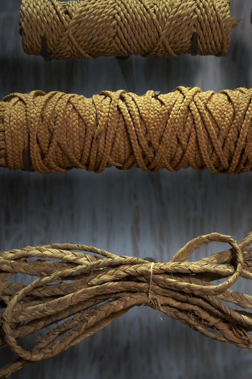 [6842] cordage of ‘ahu‘awa (Cyperus javanicus) fiber [1970.010.065] ‘aha, sennit cordage of niu (Cocos nucifera) fiber [C.06256] cordage of hau (Hibiscus tiliaceus) fiber On display: Wao Kanaka, Hawaiian Hall Artifact Number: 6842, 1970.010.065, C.06256 Image from Bishop Museum Archives, Honolulu, Hawaii. Images are not to be re-used without permission.