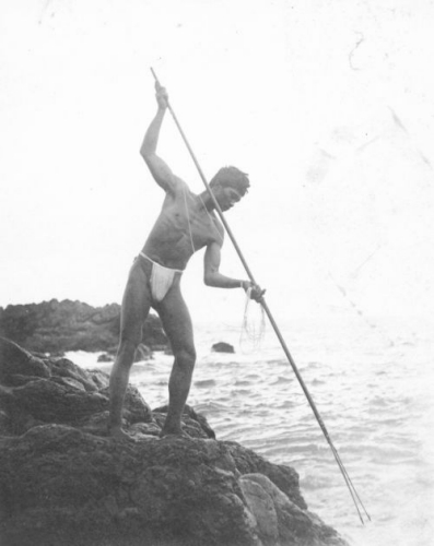 Hawaiian spear fisherman near Hana; Maui, Hawai‘i. ca. 1890 Call Number: Ethnic Culture. Hawaiian. Fishing. Spear. Image from Bishop Museum Archives, Honolulu, Hawaii. Images are not to be re-used without permission.
