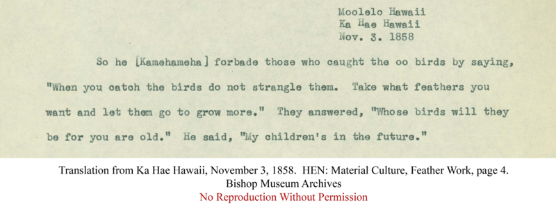 Kamehameha on Bird Catching