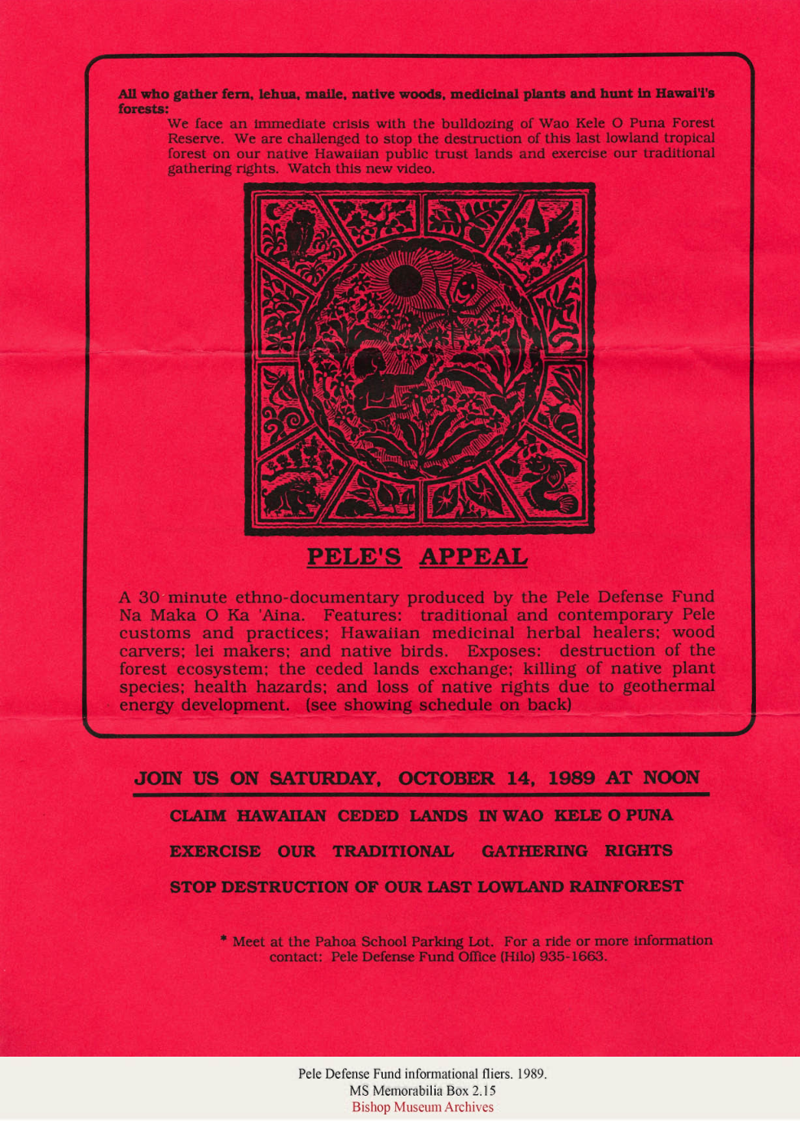 Pele Defense Fund fliers