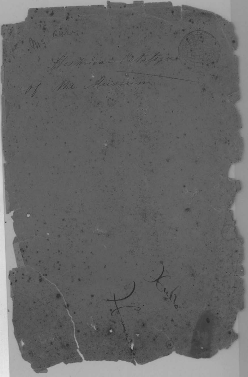 Catalog of Specimens in the Hawaiian Government Museum